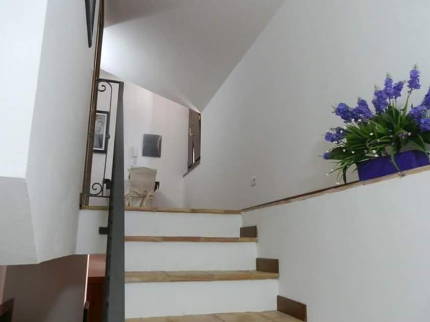 Agriturismo Ai Monaci Montano Antilia Dış mekan fotoğraf